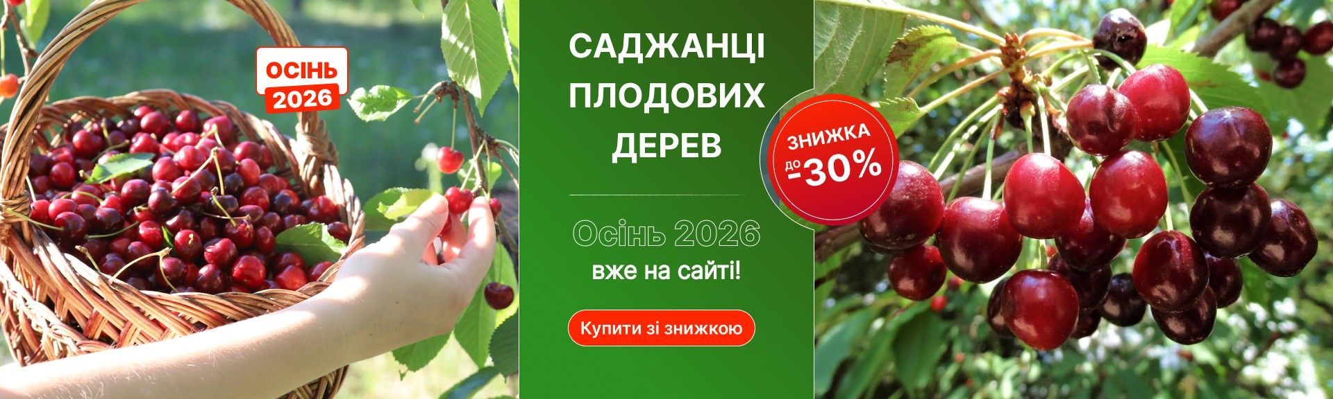 Слайдер Плодові