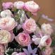 Троянда англійська Констанц (Rosa Constance) 50030 фото 3
