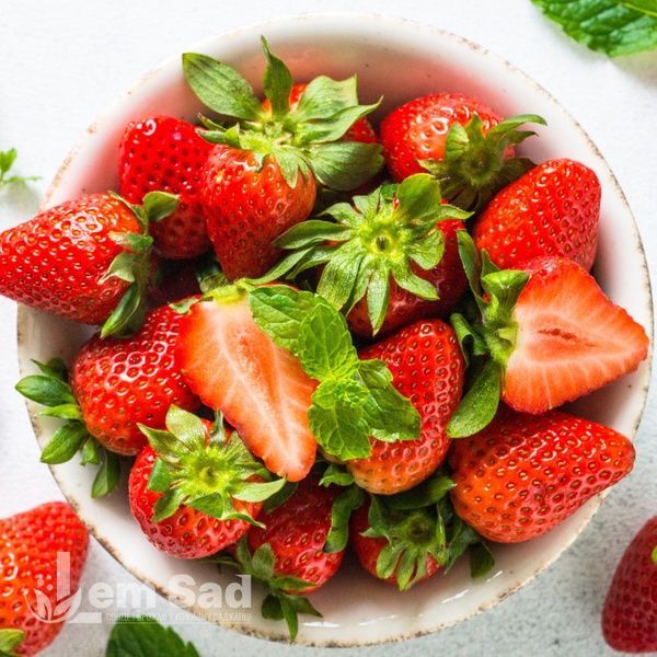 Полуниця Квікі (Fragaria &times; ananassa Quicky) 30003 фото
