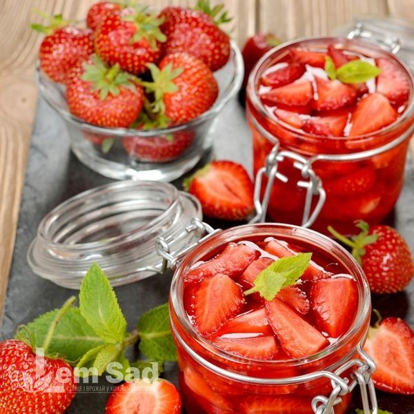 Полуниця великоплідна середня Лючія (Fragaria &times; ananassa Lycia) 30012 фото