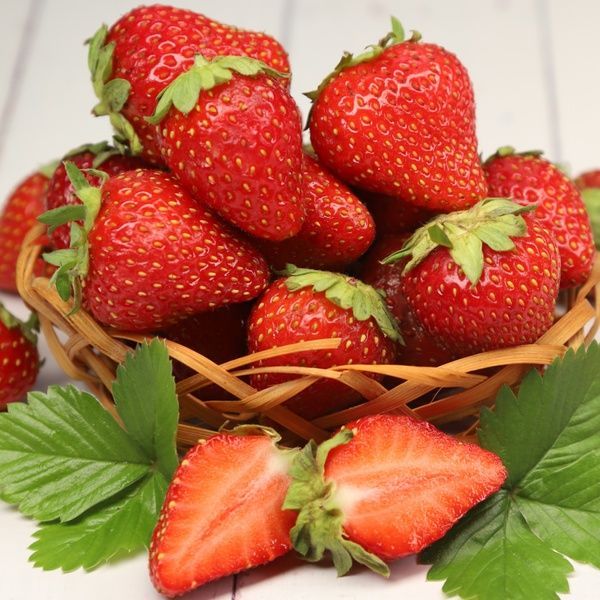 Полуниця великоплідна Джолі (Fragaria &times; ananassa Joly) 30013 фото