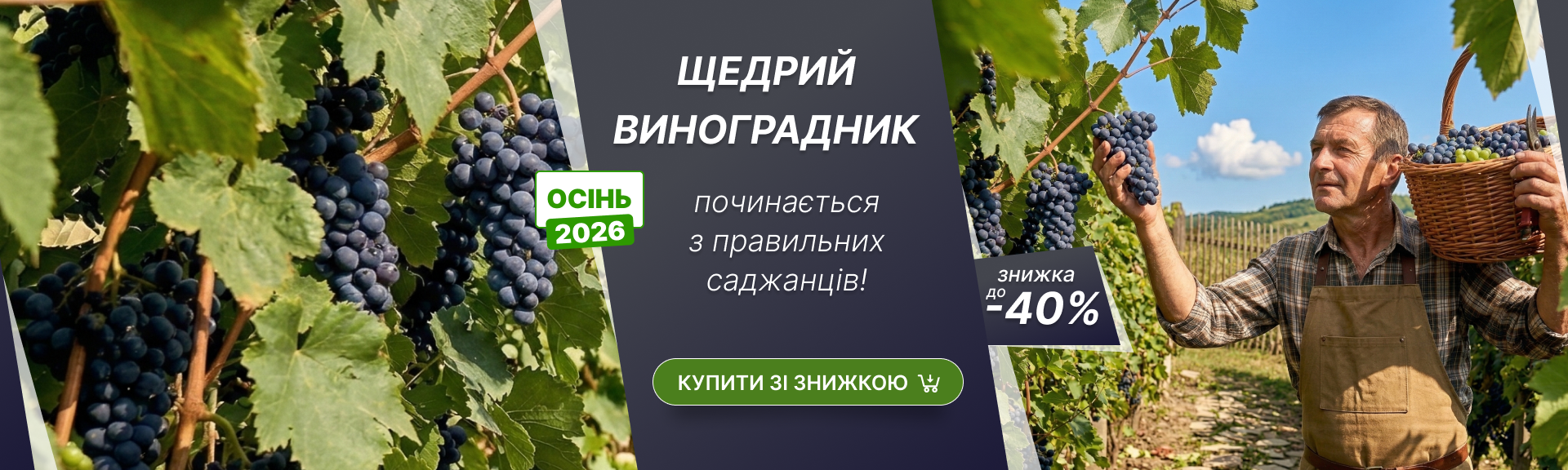 Слайдер Виноград