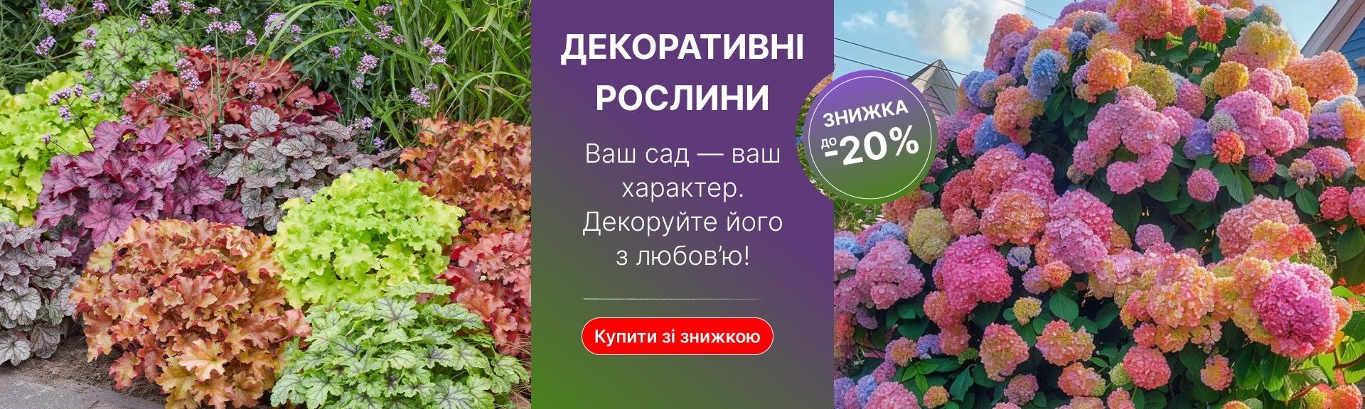 СЛАЙДЕР Декоративні рослини