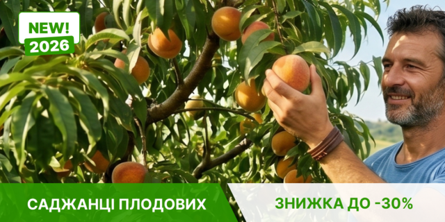 НОВИНКИ ПЛОДОВЫХ