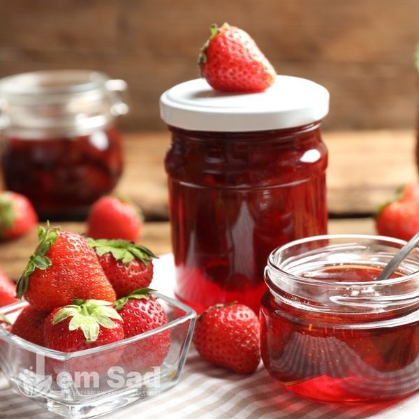 Полуниця великоплідна Зенга Зенгана (Fragaria &times; ananassa Senga Sengana) 30022 фото