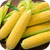 Семена кукурузы