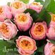 Роза чайно-гибридная Пич Вувузела (Peach Vuvuzela) 50061 фото 2