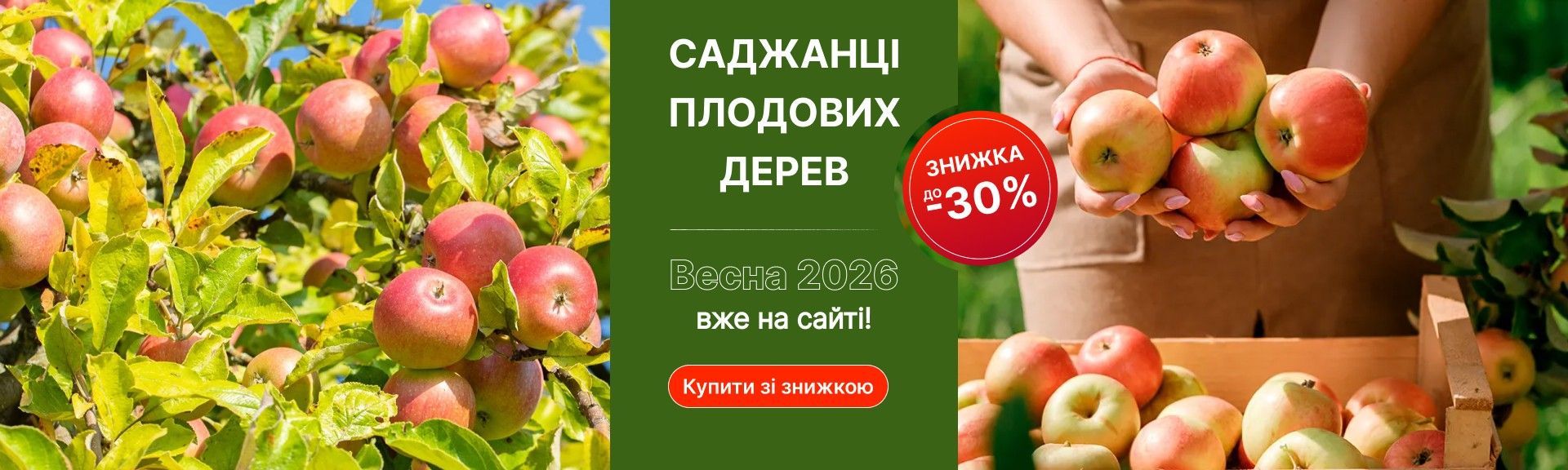 Слайдер Плодовые