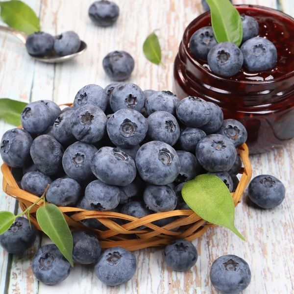 Голубіка (лохина) XXL 30154 фото