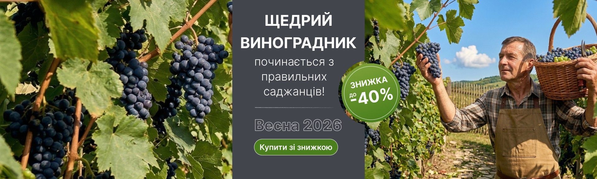 Слайдер Виноград