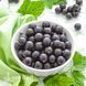 Смородина черная Украинка (Ribes nigrum Ukrainka) 30165 фото 3