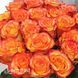 Роза спрей Оранж Бейби (Rosa Orange Babyflor) 50317 фото 1