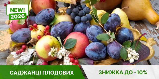 НОВИНКИ ПЛОДОВИХ