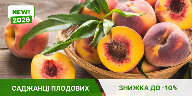 НОВИНКИ ПЛОДОВИХ