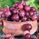 Аґрус Карат (Ribes uva-crispa Karat) 30175 фото 2